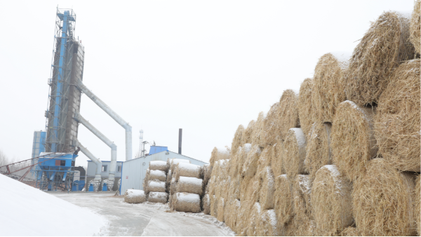 煤炭價格高，烘糧利潤低，吉林大安市500噸糧食烘干塔改用秸稈大包直燃鍋爐，每天省3萬